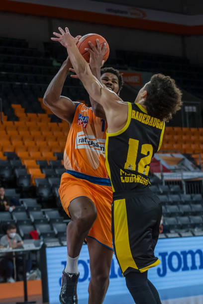 在他的新合 在他的新合